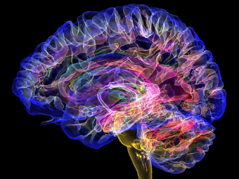 日B视频免费体验大脑植入物有助于严重头部损伤恢复
